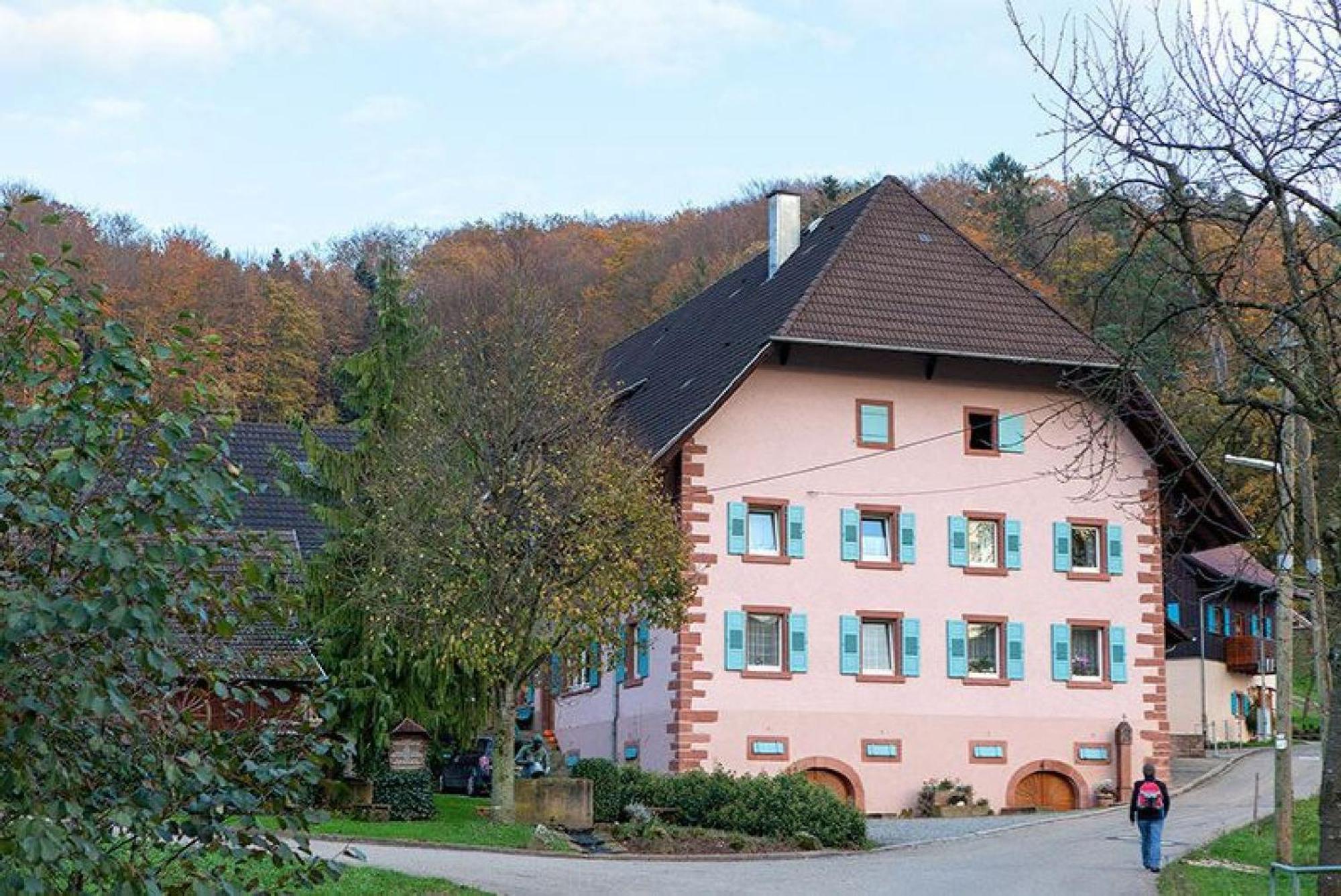 Апартаменты Ziegelhof Schuttertal Экстерьер фото