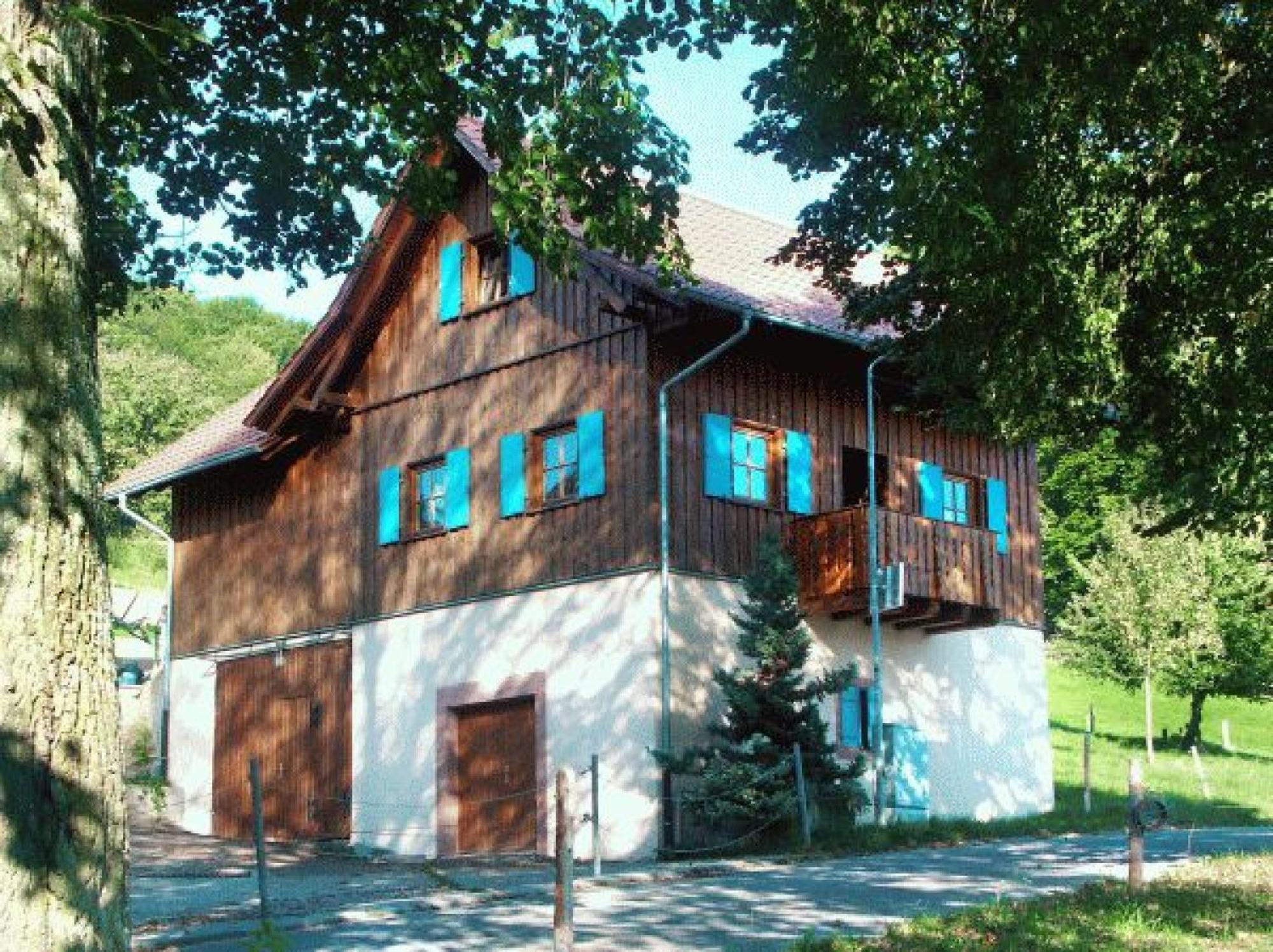 Апартаменты Ziegelhof Schuttertal Экстерьер фото